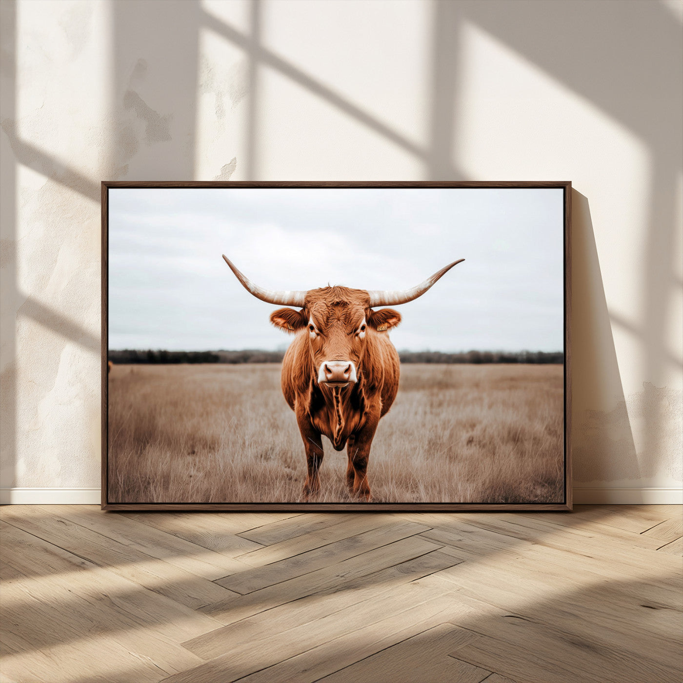 16316734-MGV-FC-36X24 - Longhorn bull, open field, rustic charm, natural beauty, Wall Art Canvas Print, countryside,
