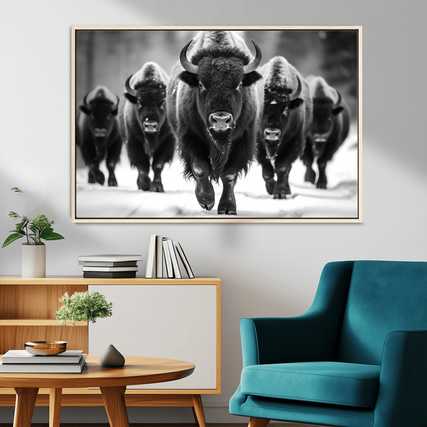-American Bison Art | Buffalo Herd Wall Art Canvas Print, BW American Bison Herd Wall Art Canvas
