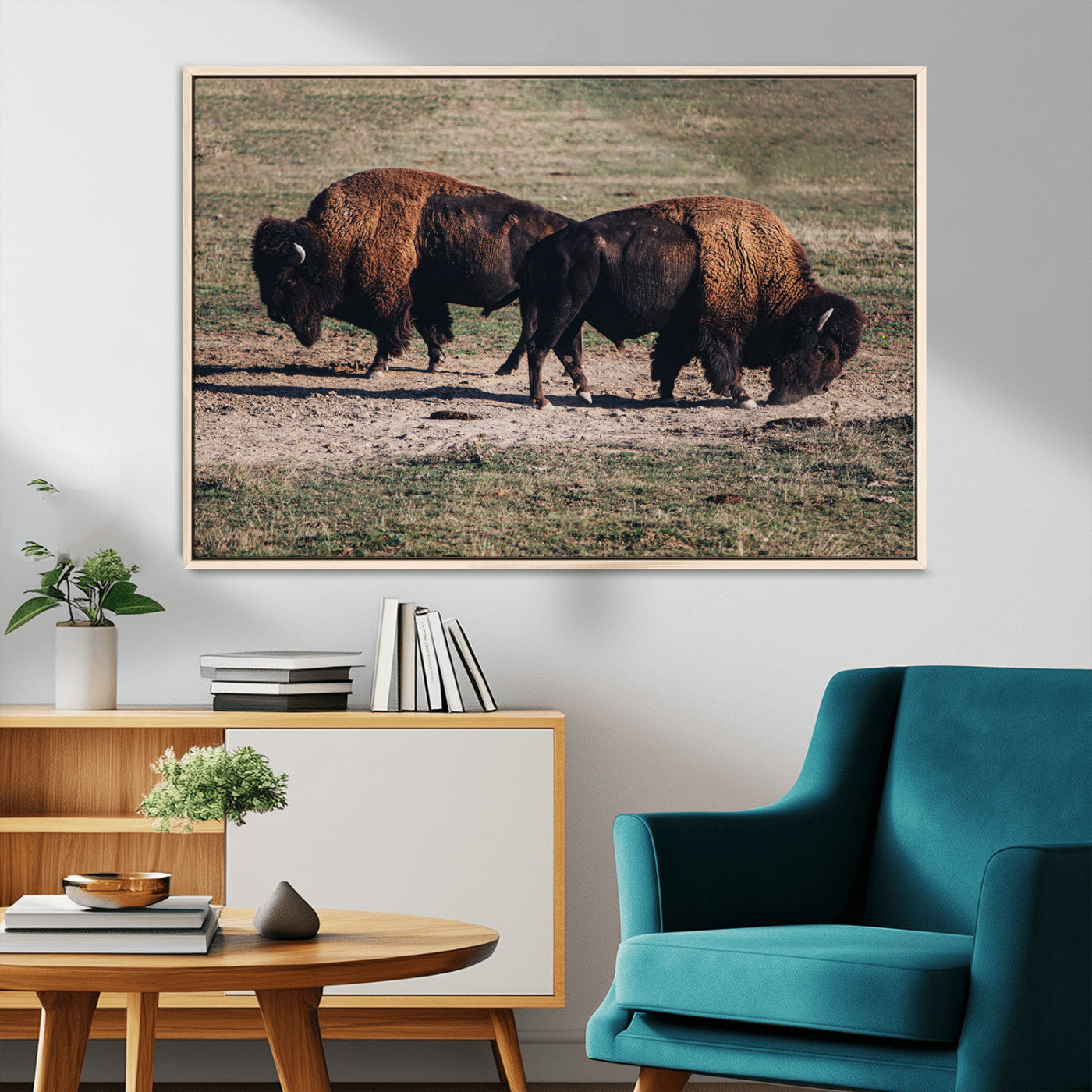 58141885-MGV-CV-36X24-Bison Wall Art Canvas Print – Framed Western Wildlife Modern Ranch Rustic Nature Scene Artwork for Home Office