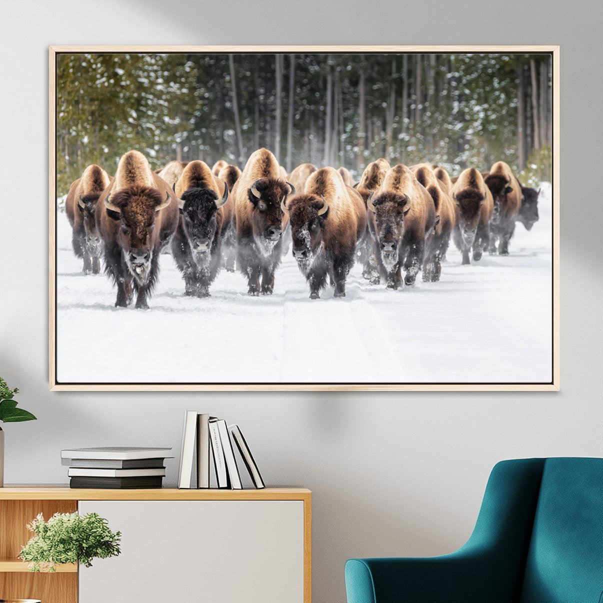 96906195-MGV-FC-36X24 - American Bison Herd Snow Canvas Wall Art – Powerful Winter Wildlife Print of Buffalo Motion, Rustic Lodge or Western Cabin Decor for Living Room, Office