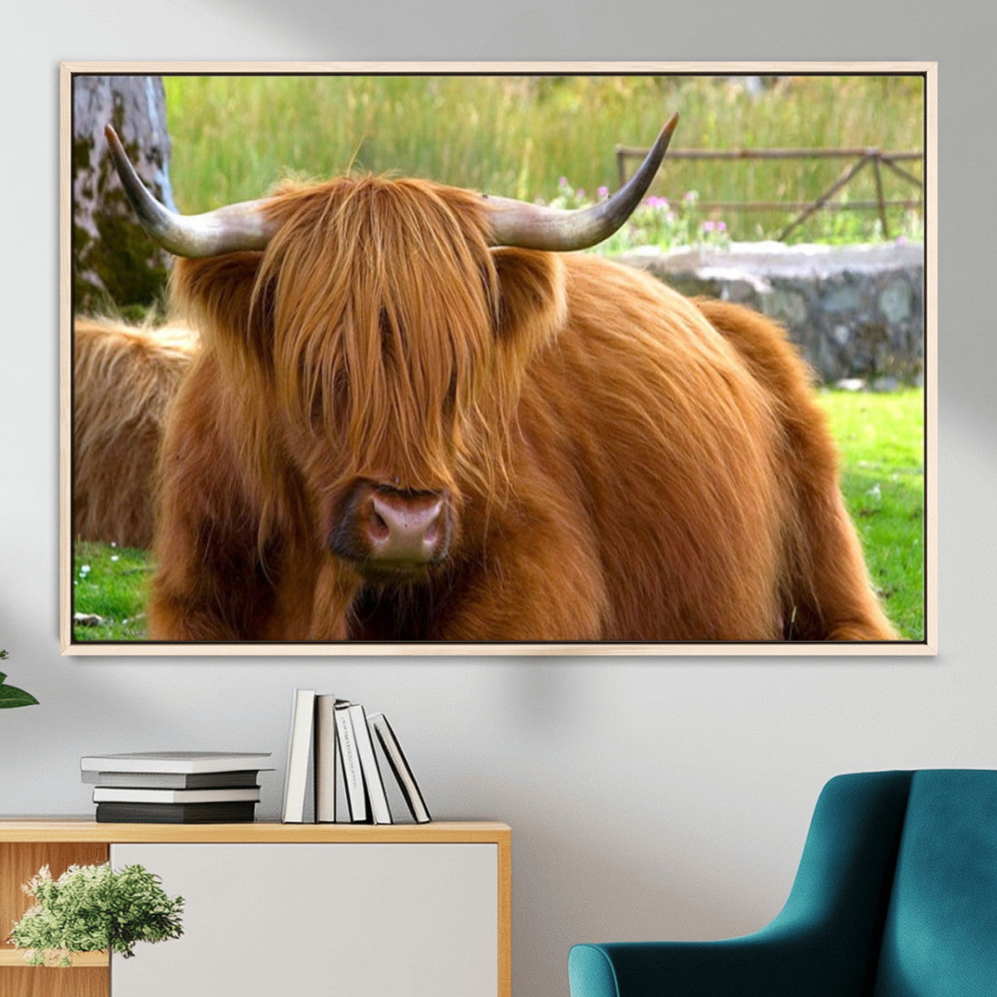 68411138-MGV-FC-36X24_Natural-Highland Cow Long Hair Rustic Farm Animal Horns Green Pasture Natural Beauty Outdoor Wall Art Canvas Print