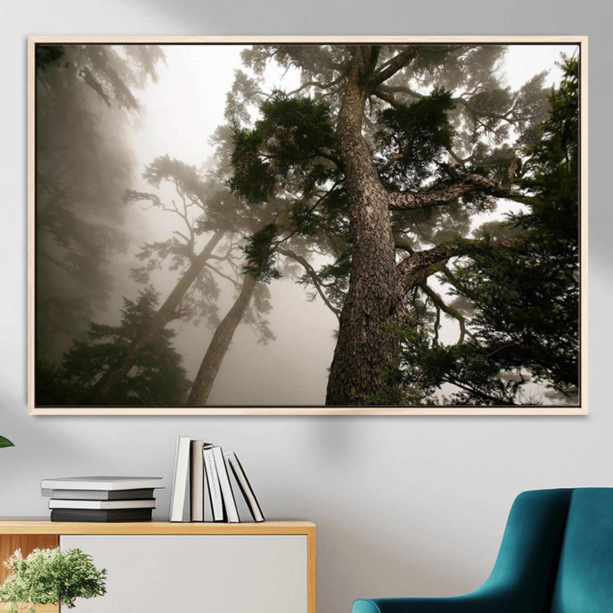 87969493-MGV-CV-36X24-Misty Forest Tall Trees Foggy Atmosphere Nature Serenity Calm Wooded Landscape Tranquil Scene