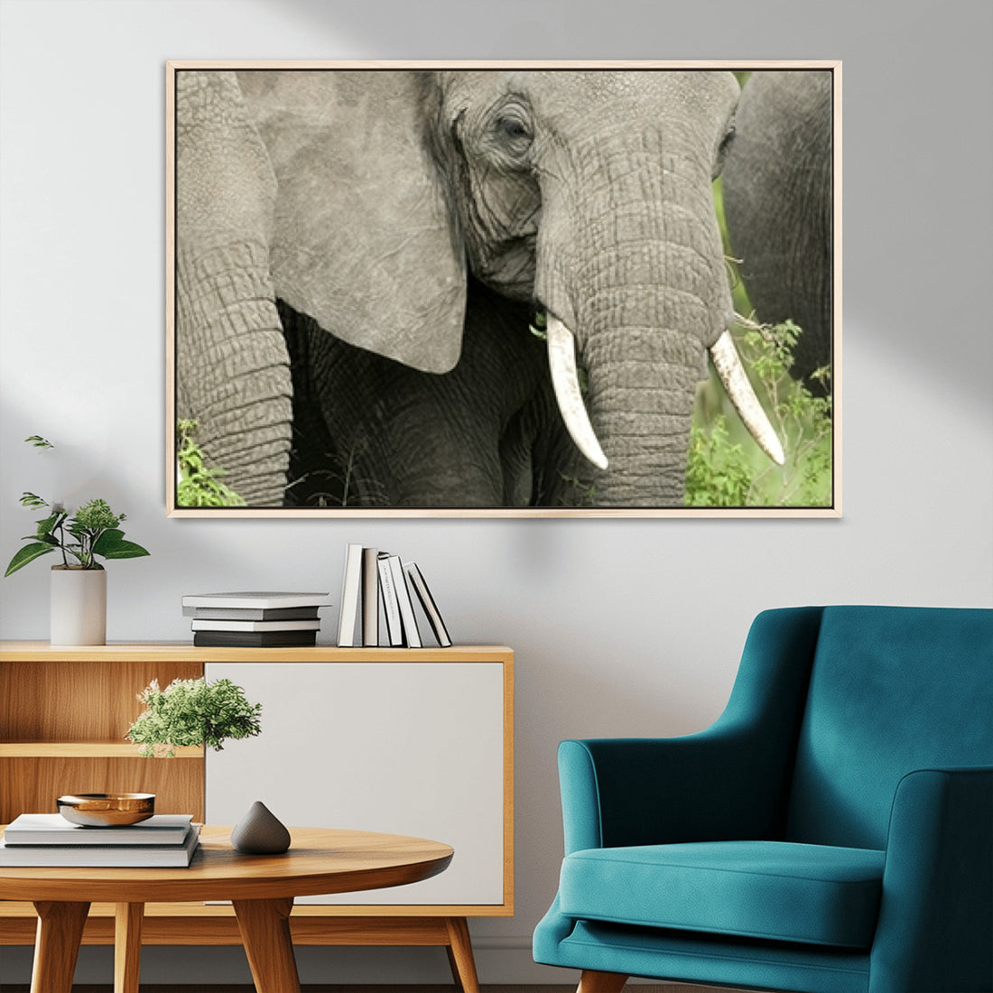 Wild Elephant Wall Art Canvas Print