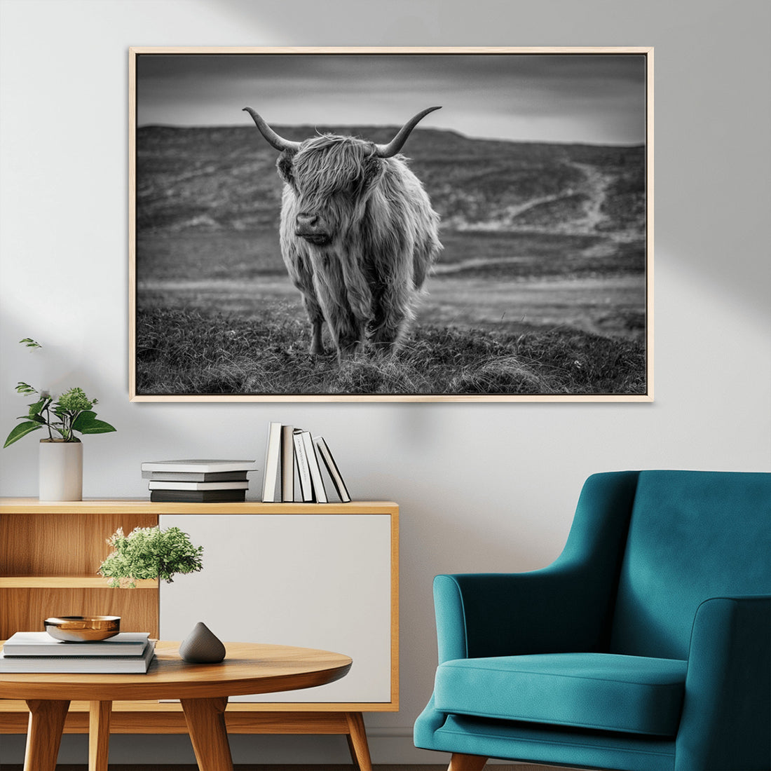 Fluffy Cattle Wall Art Print, Highland Cow Canvas, Framed Black and White Wall Art