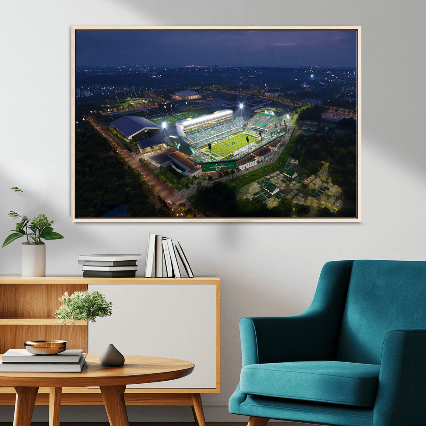 -The University of South Florida Bulls Football Team Print - Tampa USF Football Stadium Wall Art