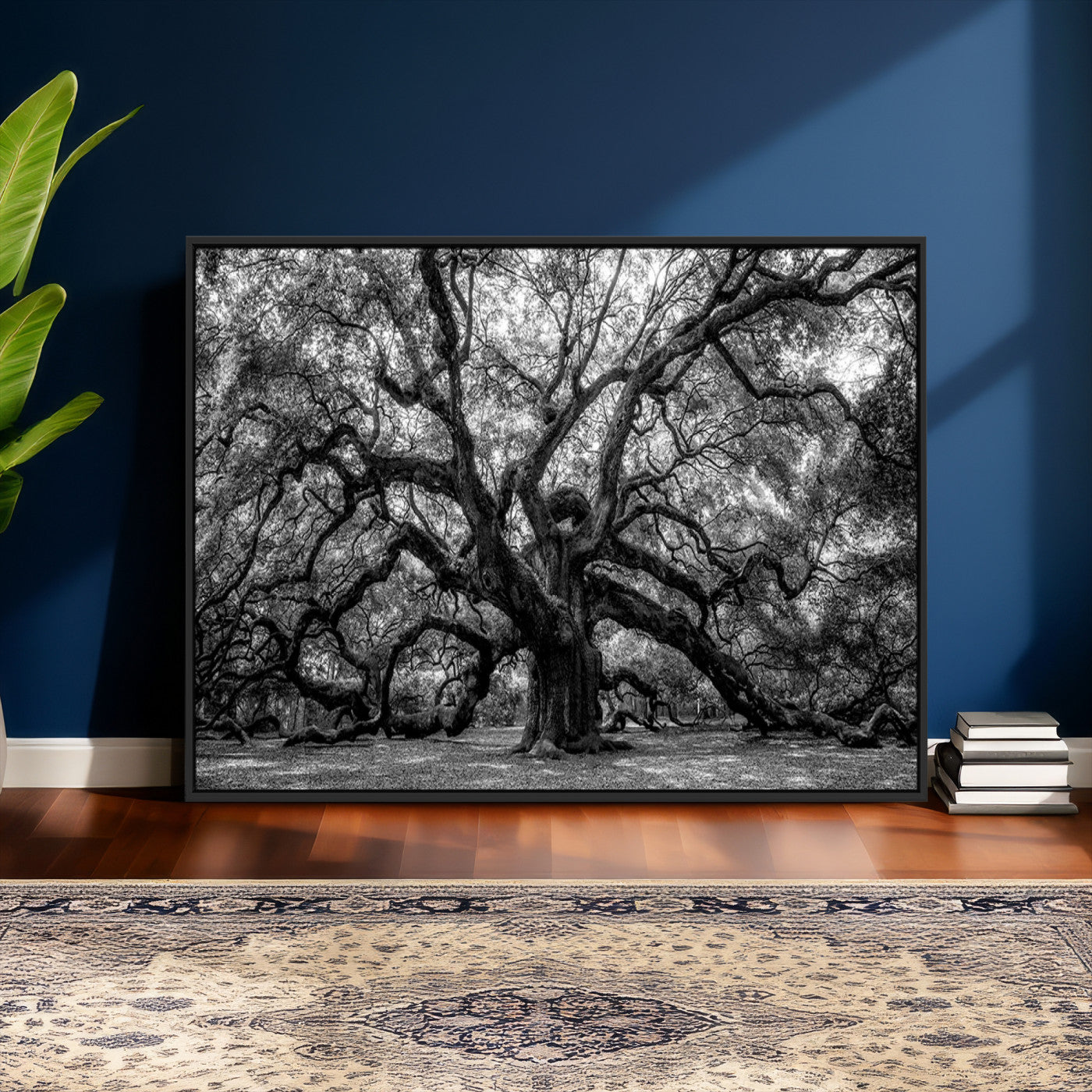 132944706-MGV-CV-36X24 - Black and White Old Angel Oak Tree Wall Art Canvas Print