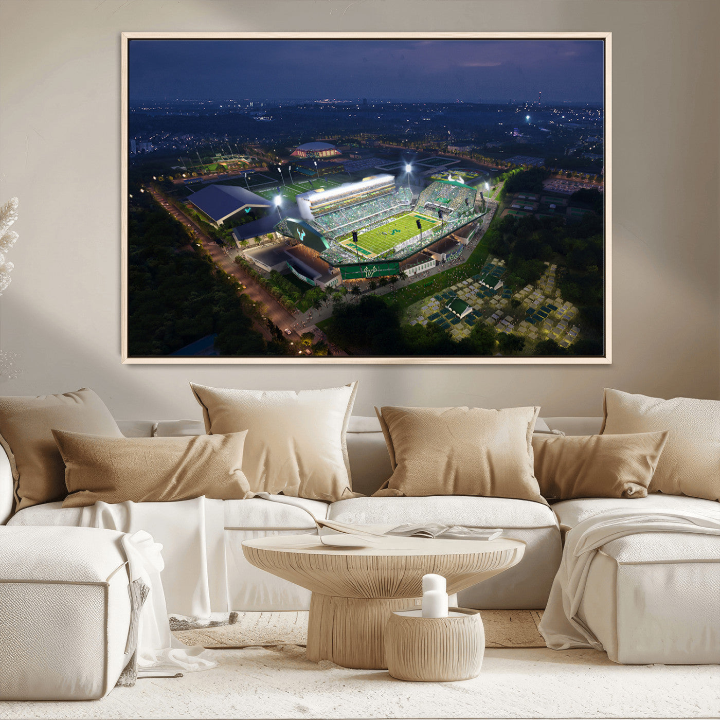 -The University of South Florida Bulls Football Team Print - Tampa USF Football Stadium Wall Art