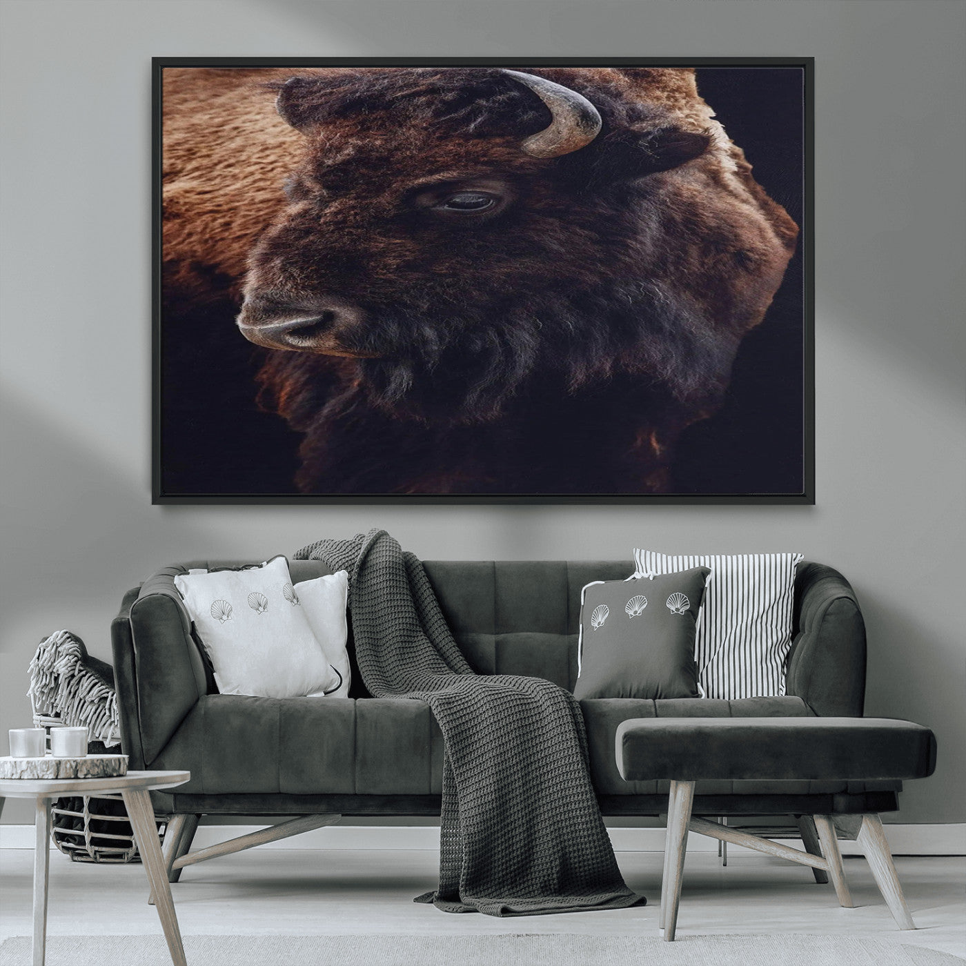 Close-up portrait of a bison with dark fur on a black background, perfect for rustic, lodge, or Western-style interior wall decor.