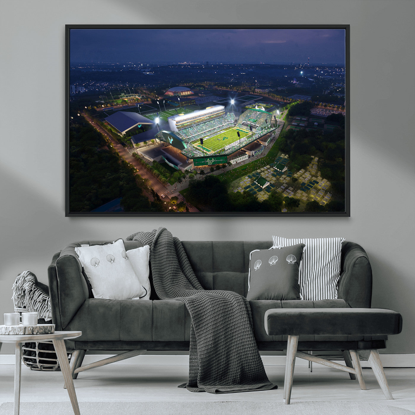 -The University of South Florida Bulls Football Team Print - Tampa USF Football Stadium Wall Art