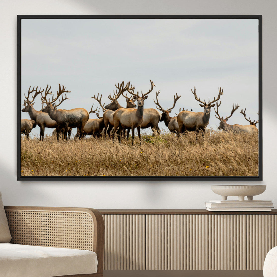Elk Herd Wall Art Canvas Print, Framed Wildlife Photography Art, Majestic Antlers Rustic Wildlife Decor