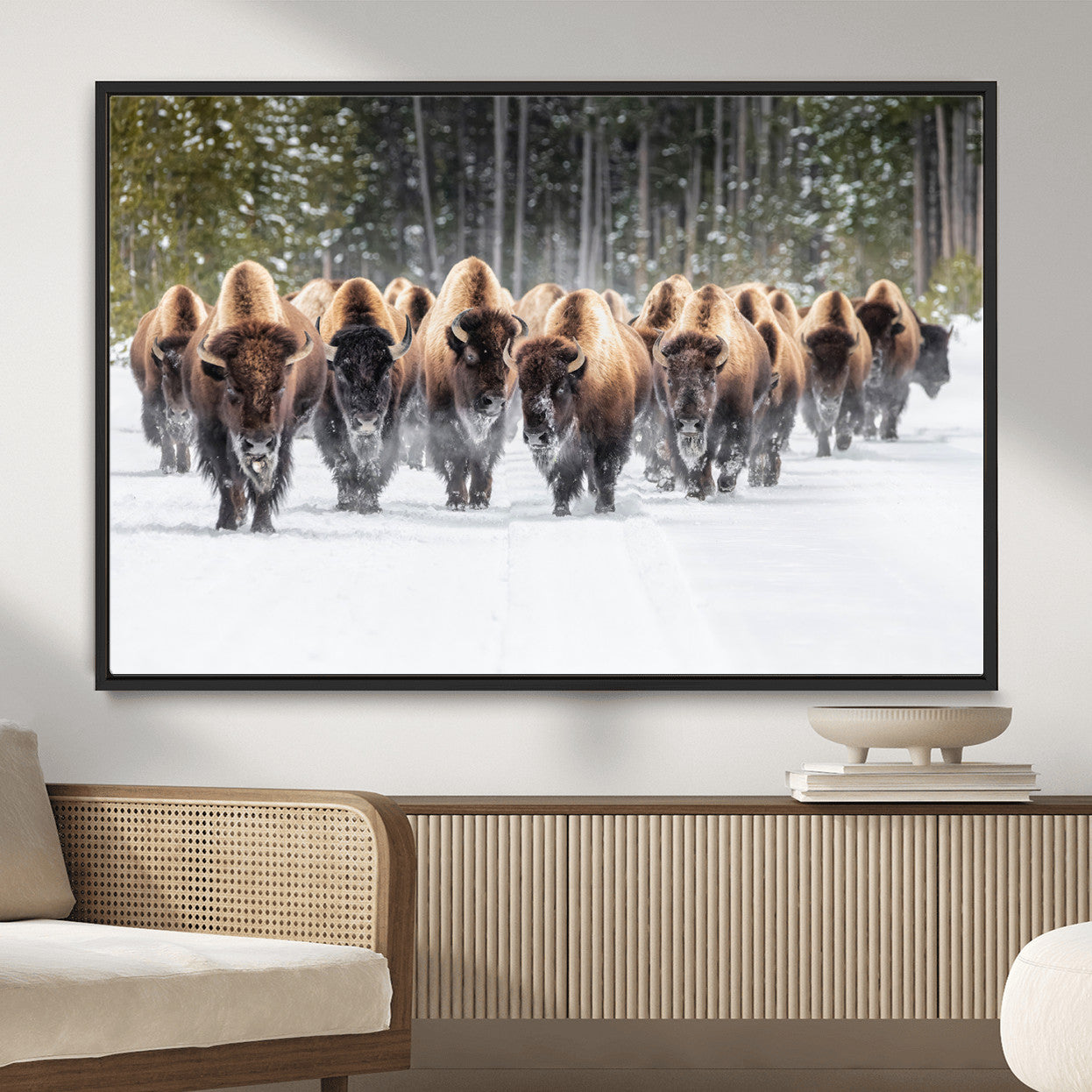 96906195-MGV-FC-36X24 - American Bison Herd Snow Canvas Wall Art – Powerful Winter Wildlife Print of Buffalo Motion, Rustic Lodge or Western Cabin Decor for Living Room, Office
