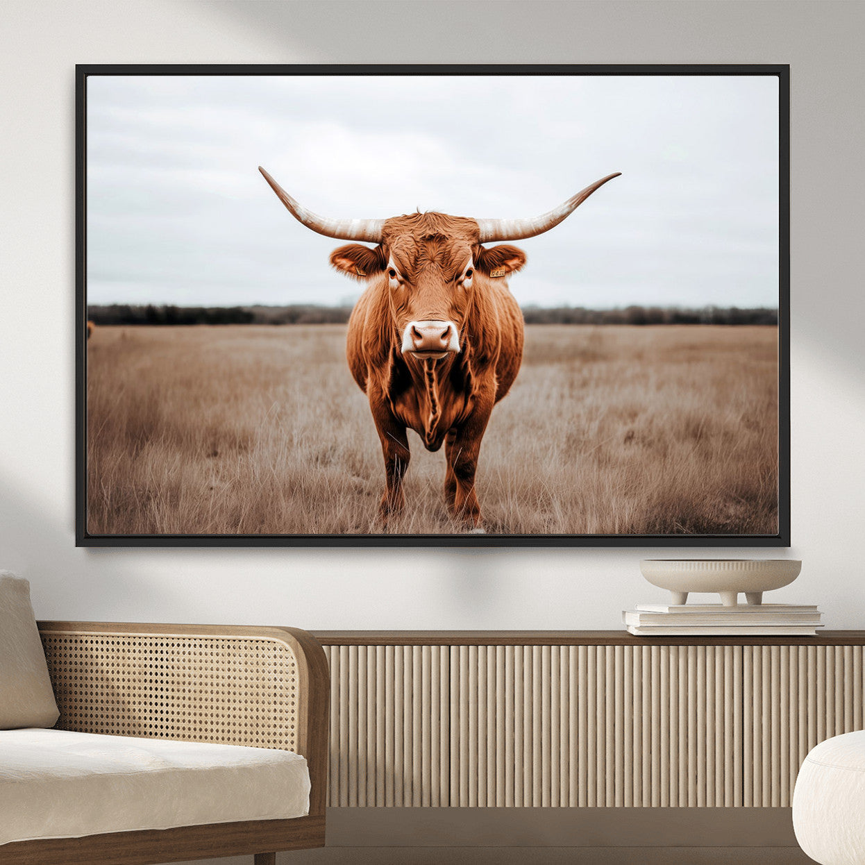 16316734-MGV-FC-36X24 - Longhorn bull, open field, rustic charm, natural beauty, Wall Art Canvas Print, countryside,