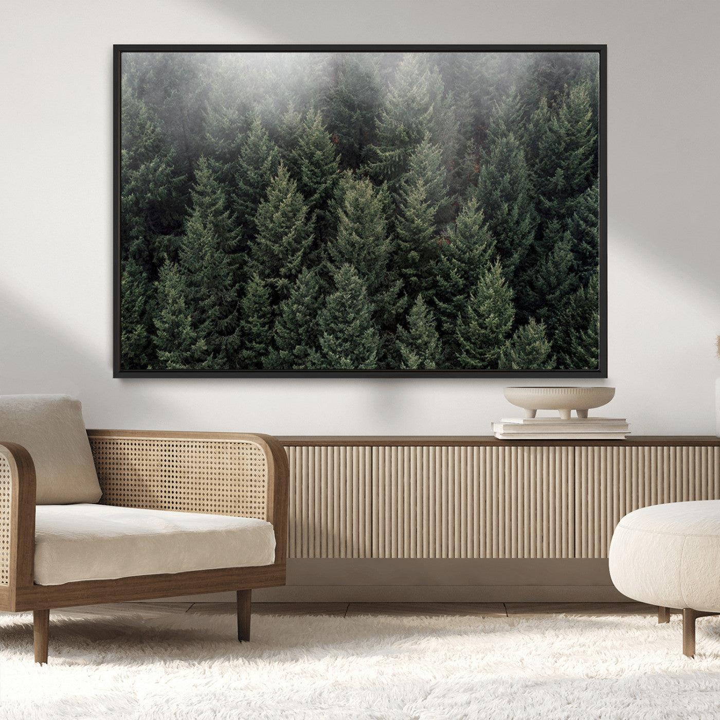 -Dense Evergreen Forest Misty Morning Fog Pine Trees Woodland Nature Landscape Calm Peaceful Scenic