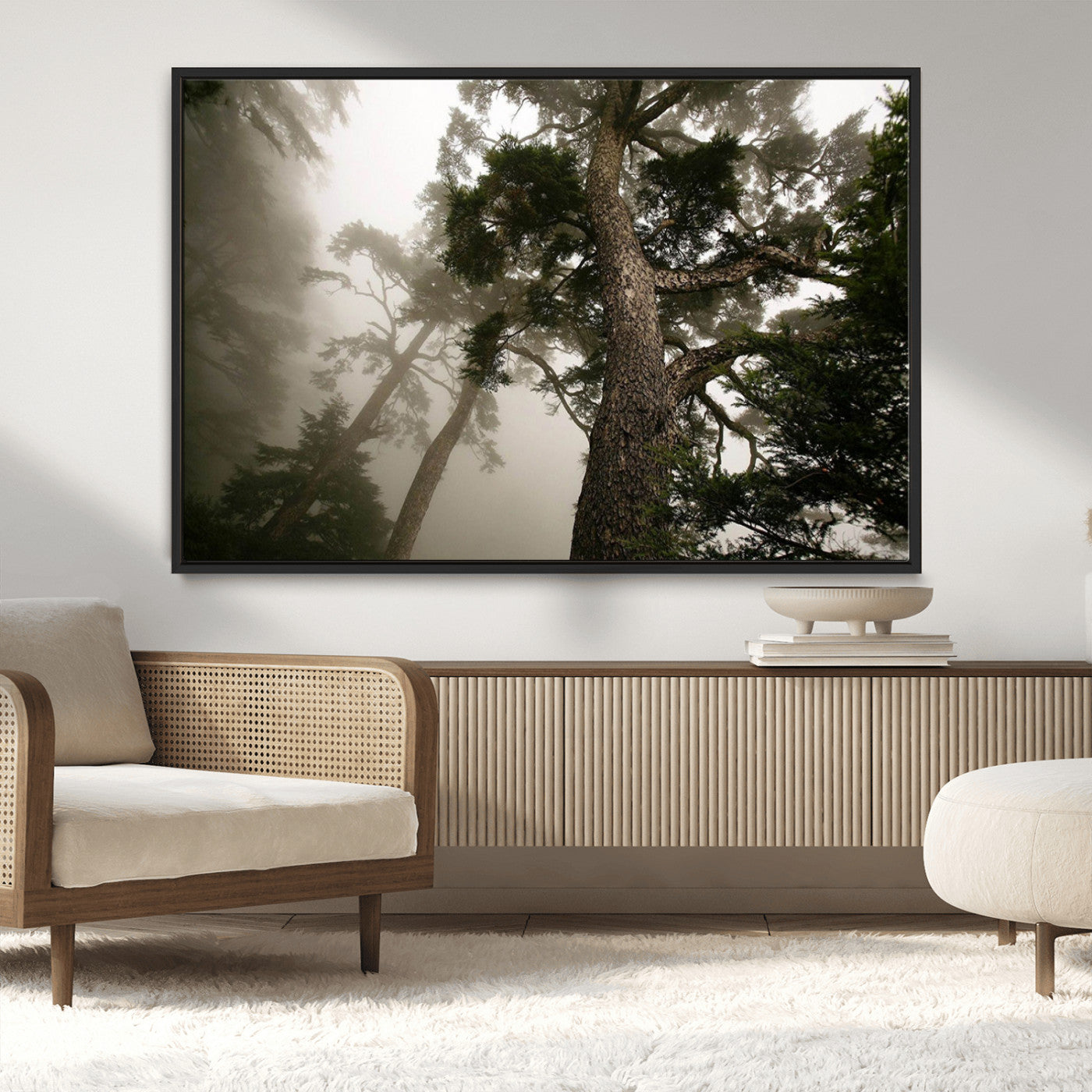-Misty Forest Tall Trees Foggy Atmosphere Nature Serenity Calm Wooded Landscape Tranquil Scene