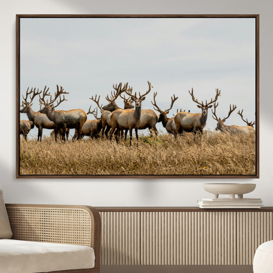Elk Herd Wall Art Canvas Print, Framed Wildlife Photography Art, Majestic Antlers Rustic Wildlife Decor