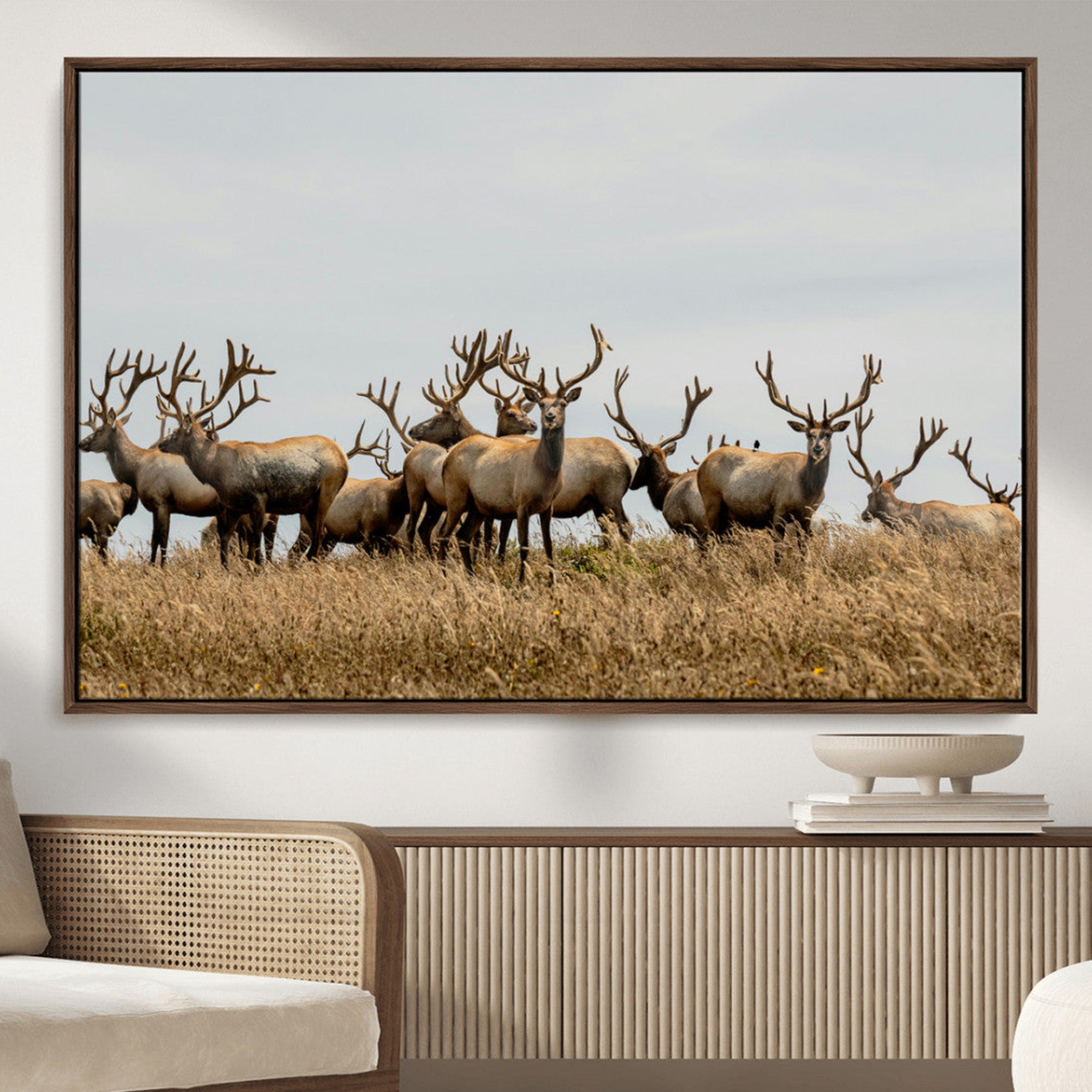 42170220-MGV-FC-36X24_Walnut-Elk Herd Wall Art Canvas Print – Framed Wildlife Photography Majestic Antlers Nature Scene Artwork for Home Office