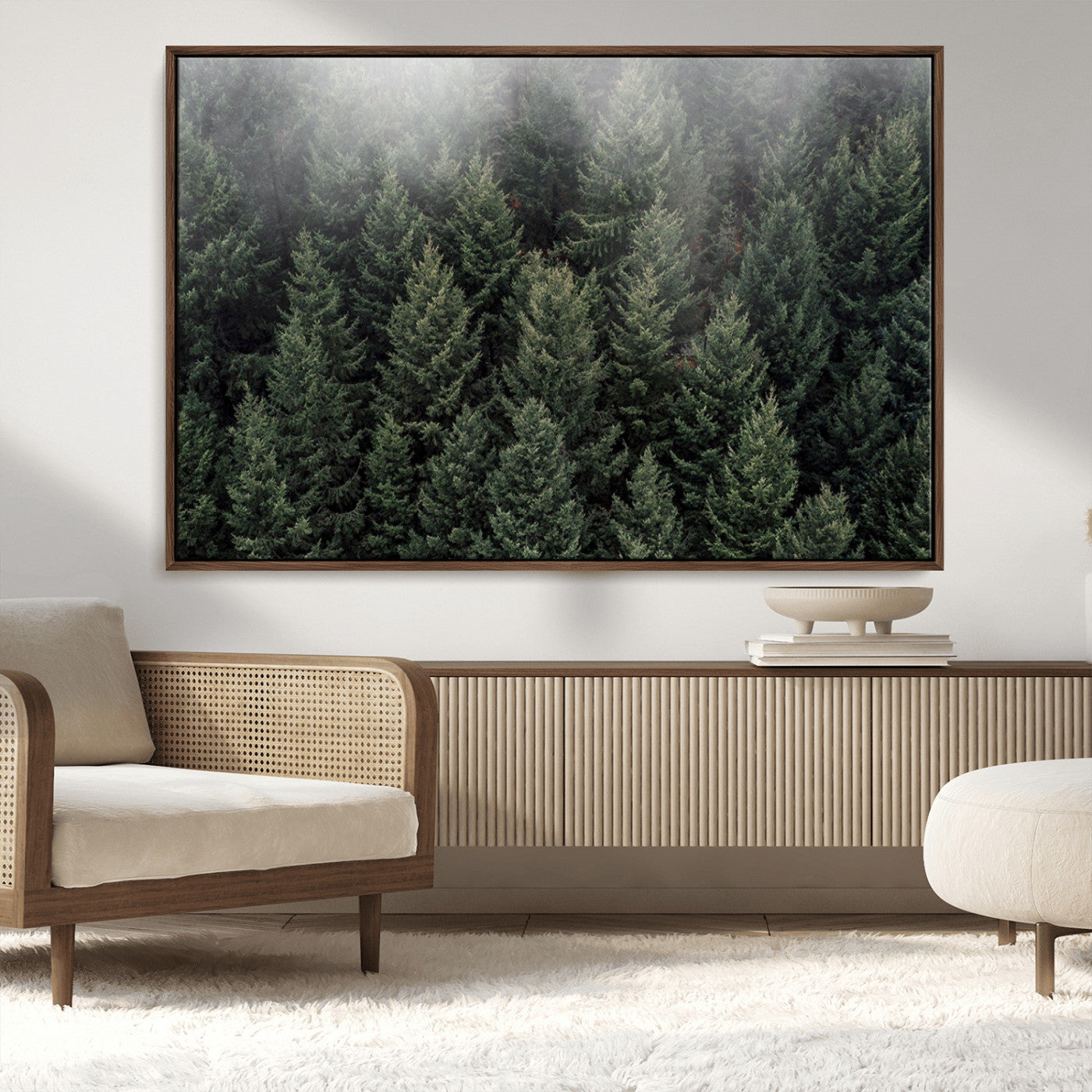 -Dense Evergreen Forest Misty Morning Fog Pine Trees Woodland Nature Landscape Calm Peaceful Scenic