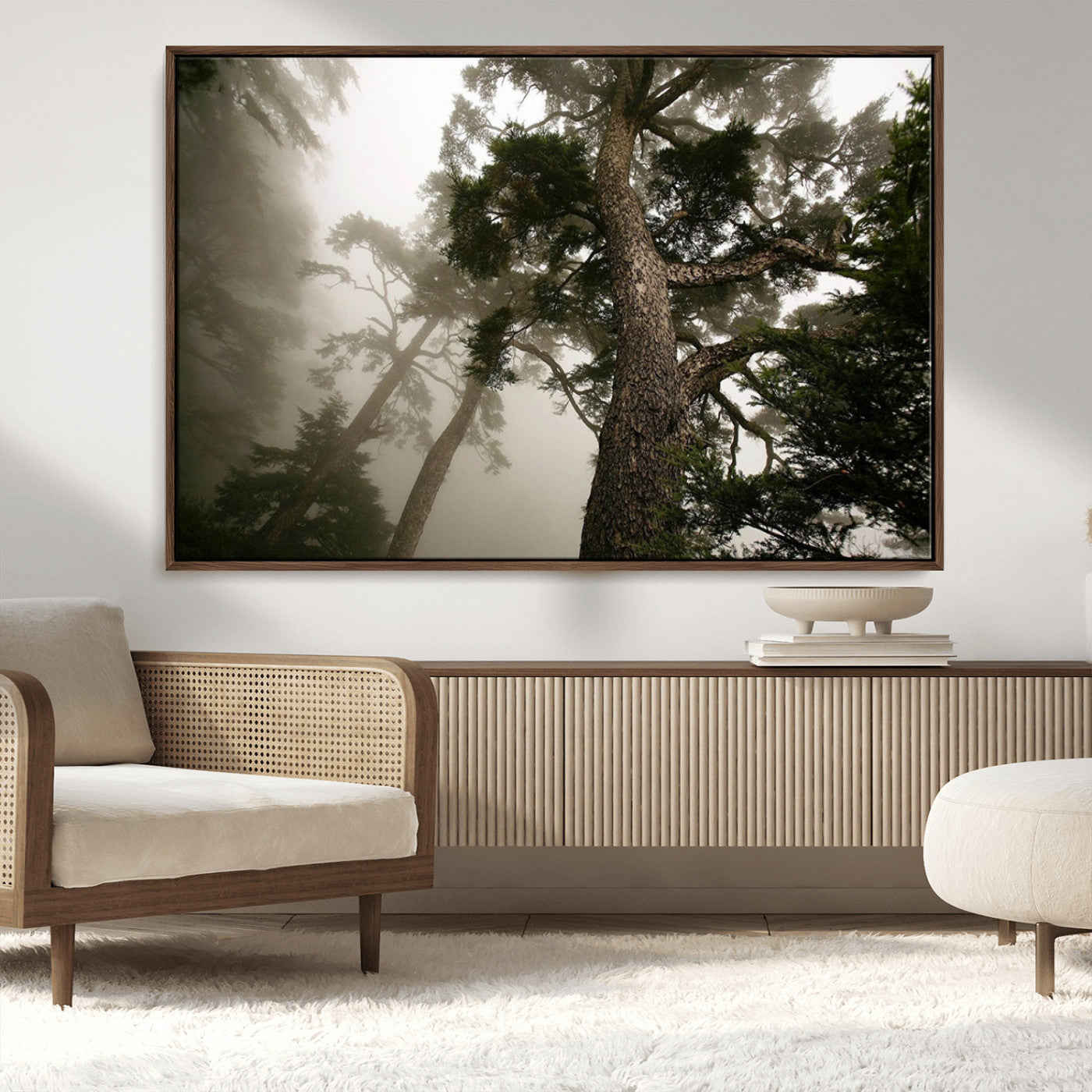 -Misty Forest Tall Trees Foggy Atmosphere Nature Serenity Calm Wooded Landscape Tranquil Scene