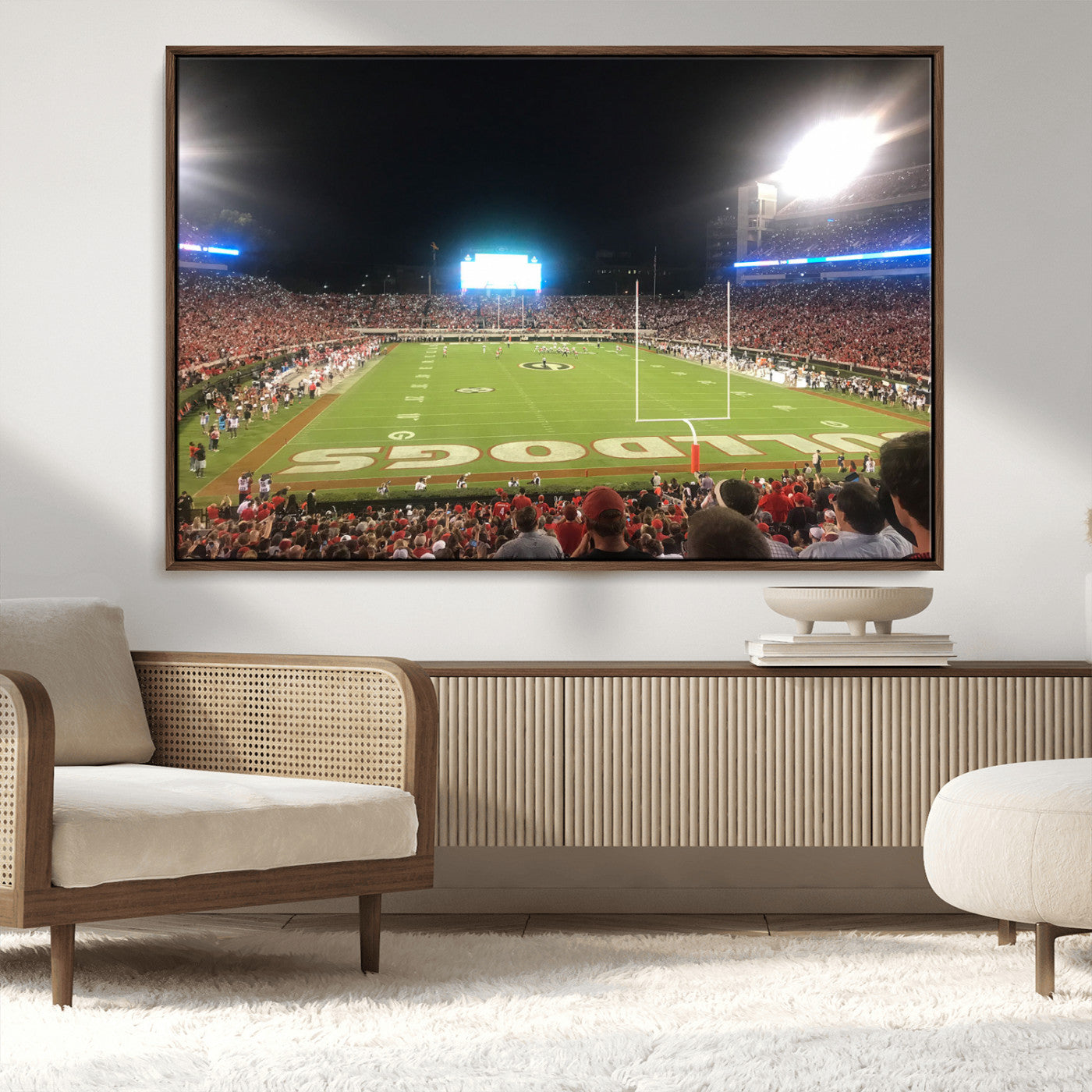 16230786-MGV-CV-36X24-Dooley Stadium Wall Art, Sports Arena Panoramic Canvas Print, Modern Stadium Landscape Artwork for Home, Office