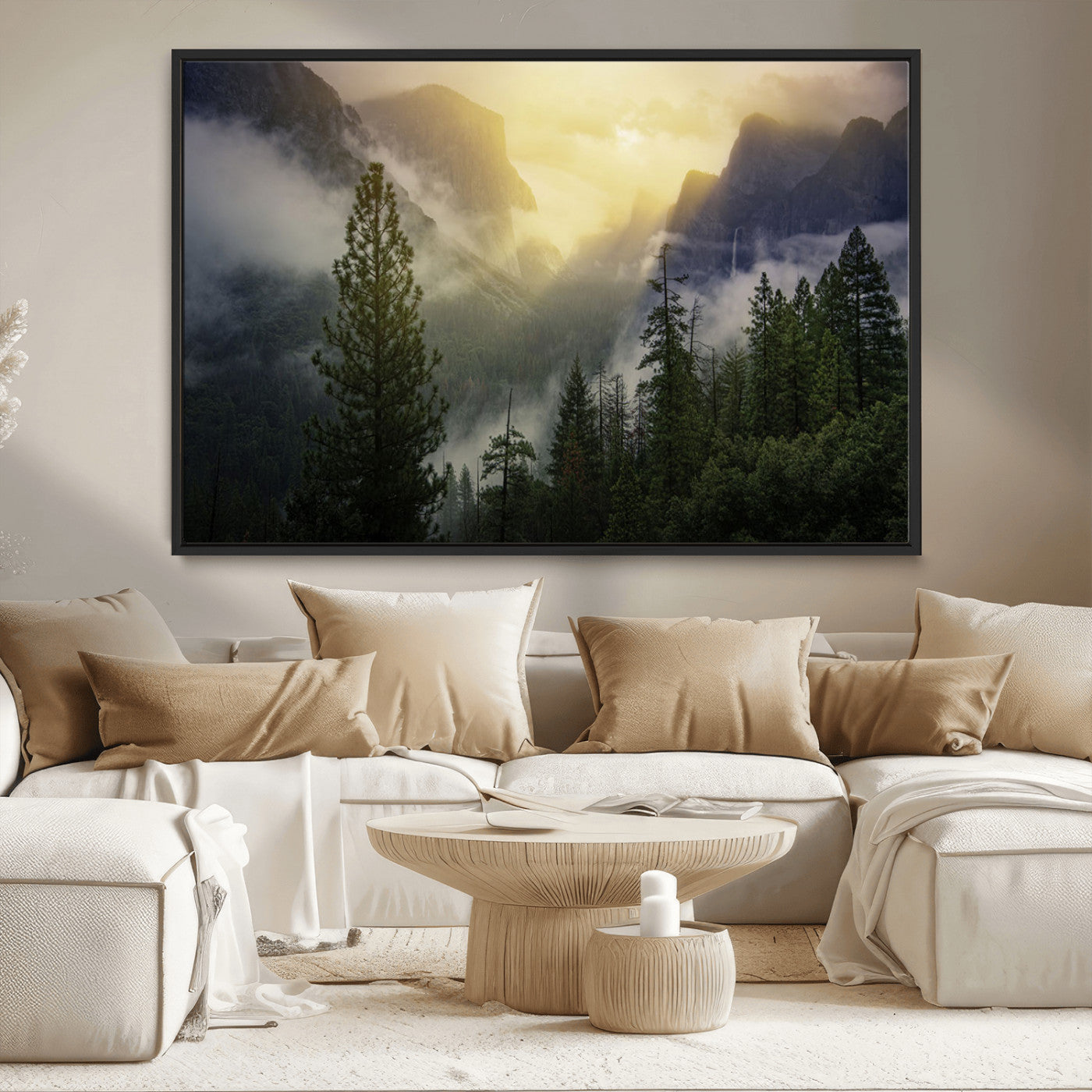 -Misty Forest Sunrise Mountain Valley Pine Trees Foggy Landscape Nature Scenic Outdoors Calm Tranquil
