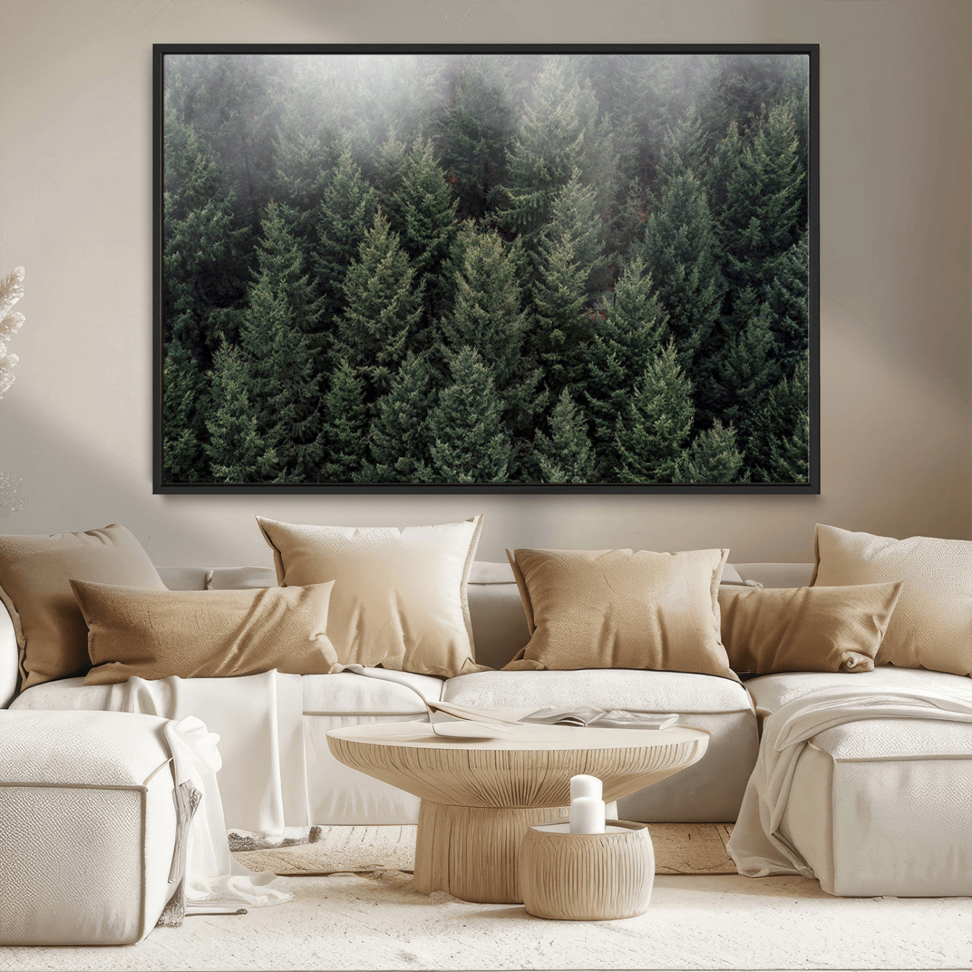 -Dense Evergreen Forest Misty Morning Fog Pine Trees Woodland Nature Landscape Calm Peaceful Scenic