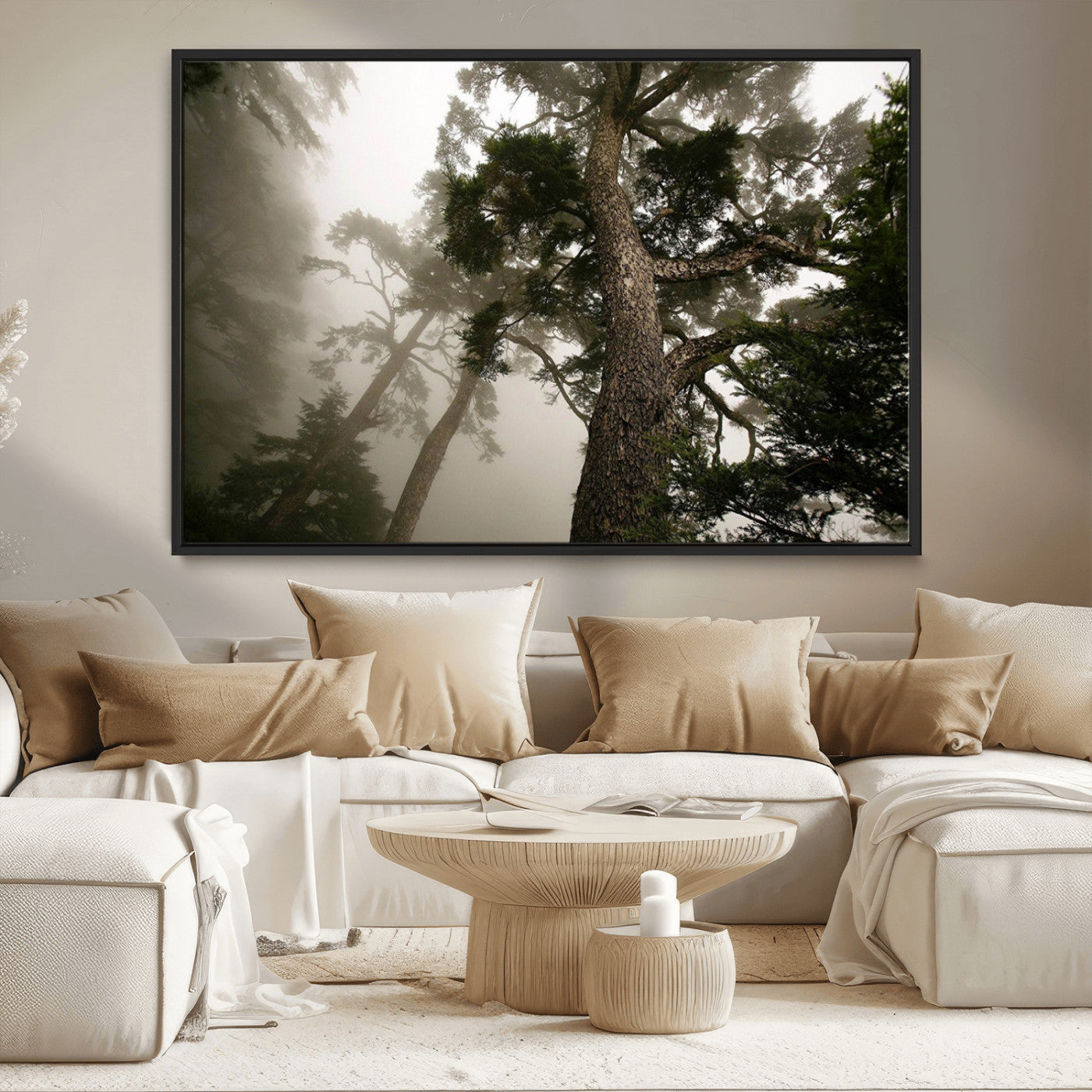 87969493-MGV-FC-36X24_Black-Misty Forest Tall Trees Foggy Atmosphere Nature Serenity Calm Wooded Landscape Tranquil Scene