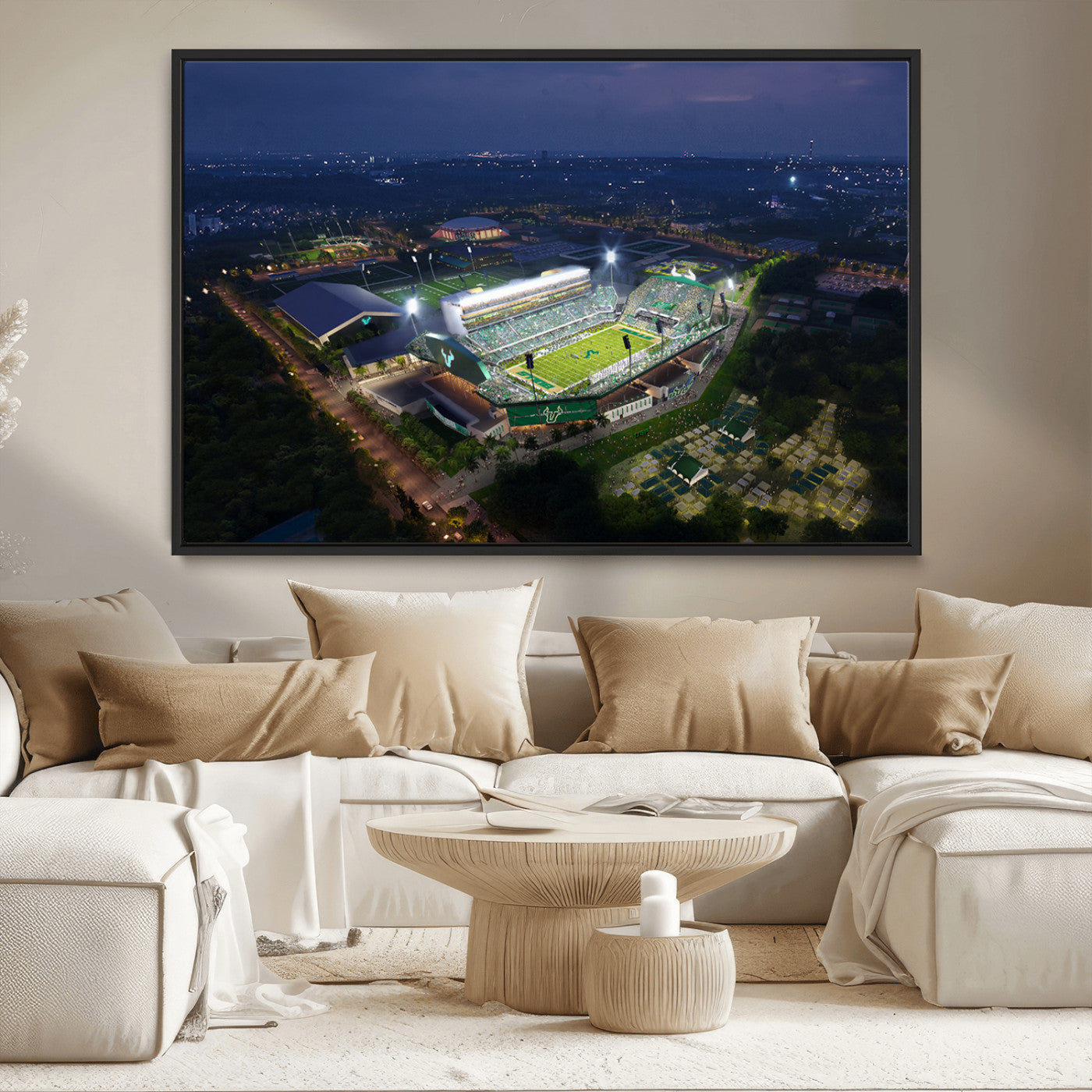 -The University of South Florida Bulls Football Team Print - Tampa USF Football Stadium Wall Art