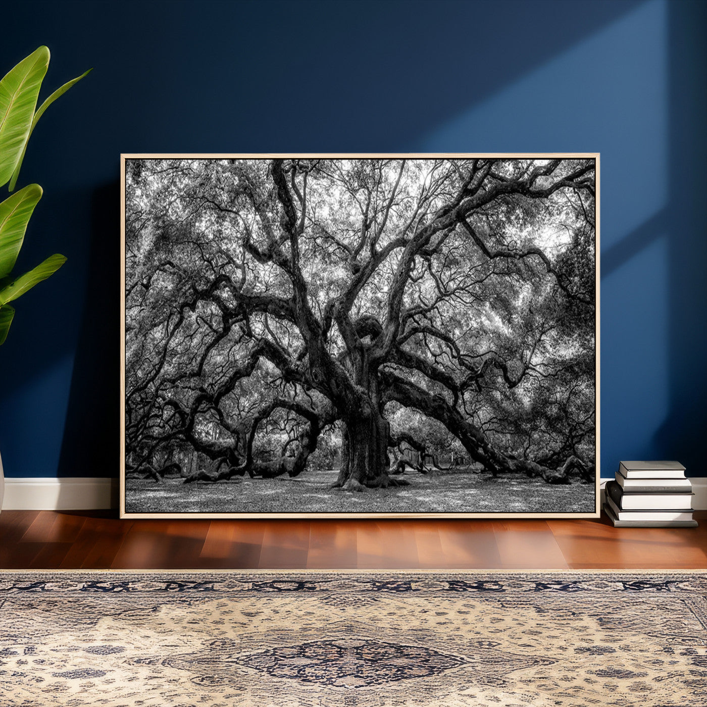 132944706-MGV-CV-36X24 - Black and White Old Angel Oak Tree Wall Art Canvas Print