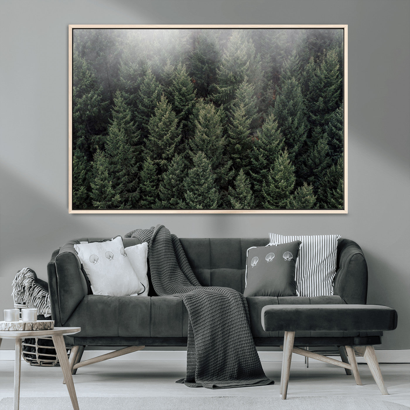 -Dense Evergreen Forest Misty Morning Fog Pine Trees Woodland Nature Landscape Calm Peaceful Scenic