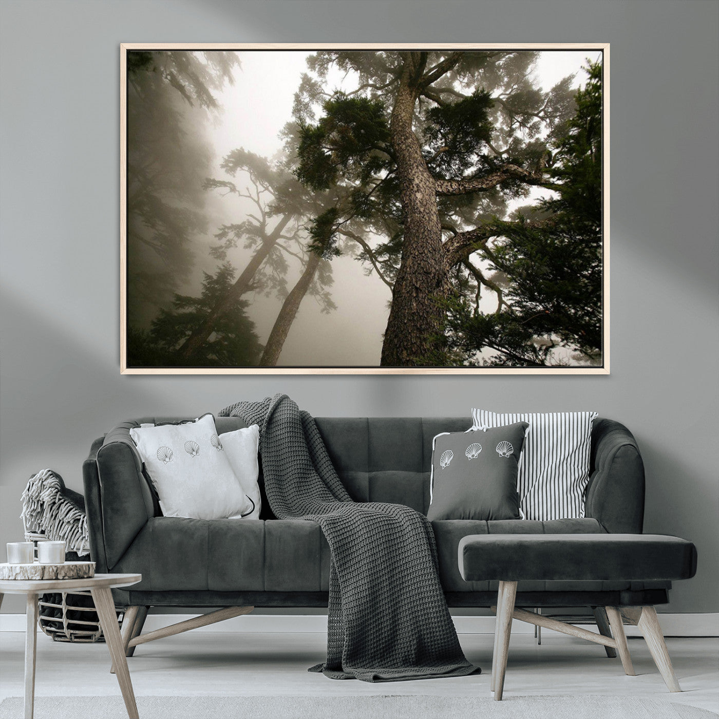 -Misty Forest Tall Trees Foggy Atmosphere Nature Serenity Calm Wooded Landscape Tranquil Scene
