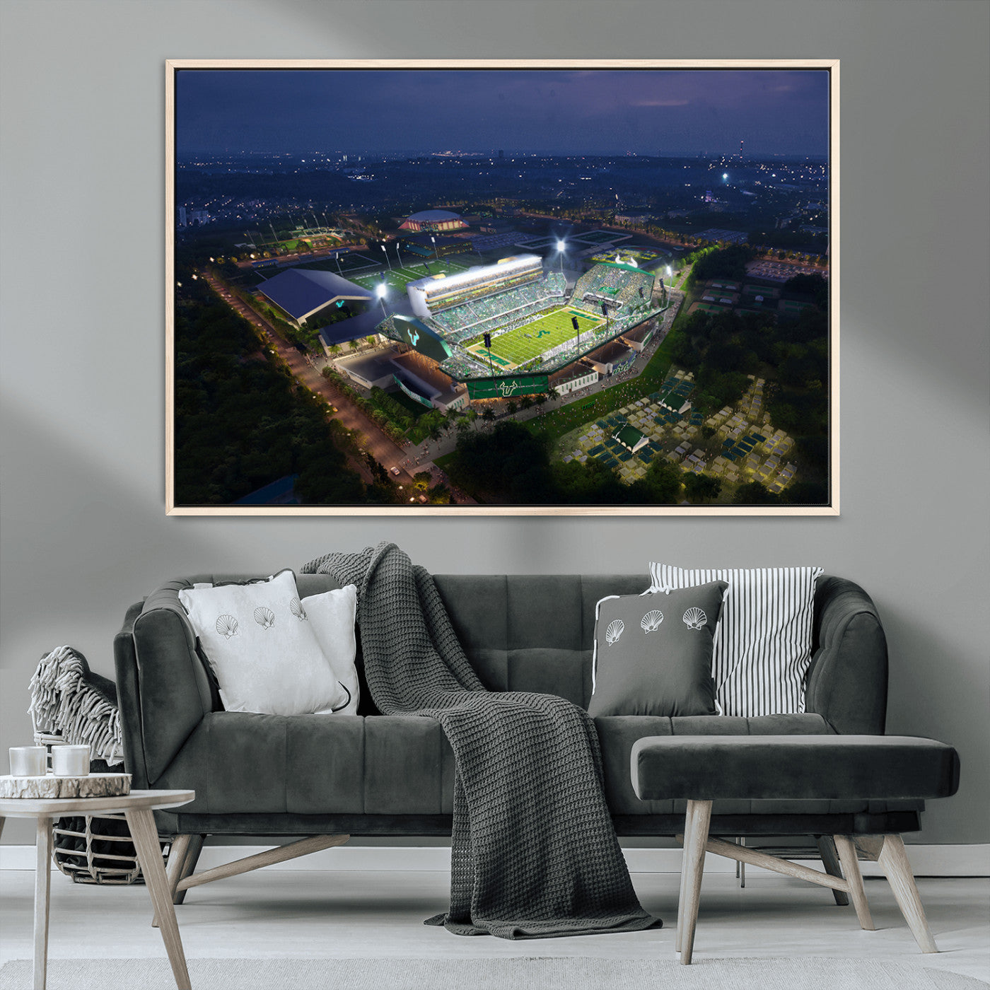 -The University of South Florida Bulls Football Team Print - Tampa USF Football Stadium Wall Art