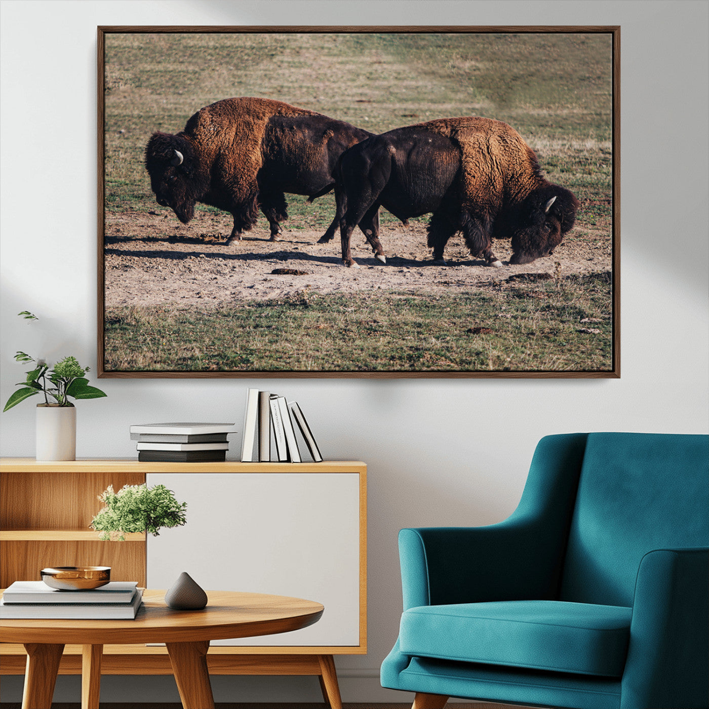 58141885-MGV-CV-36X24-Bison Wall Art Canvas Print – Framed Western Wildlife Modern Ranch Rustic Nature Scene Artwork for Home Office