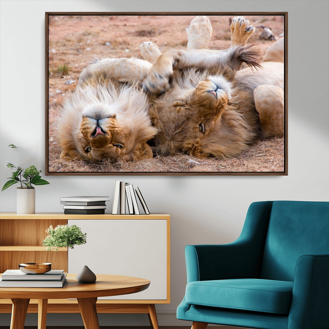 62598-MGV-CV-36X24-Lion Pair Wall Art Canvas Print – Framed Wildlife Scene with Playful Lions Artwork for Home, Office, Living Room