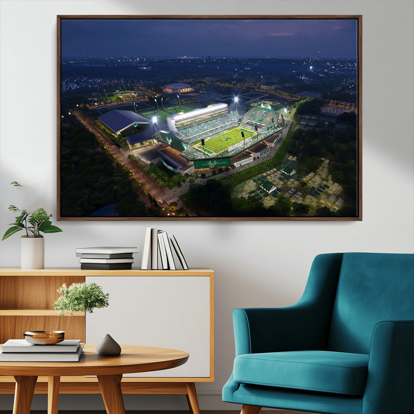 -The University of South Florida Bulls Football Team Print - Tampa USF Football Stadium Wall Art