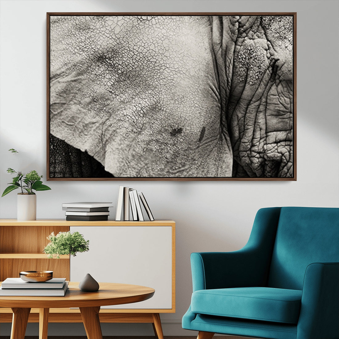 Elephant Wall Art Canvas Print