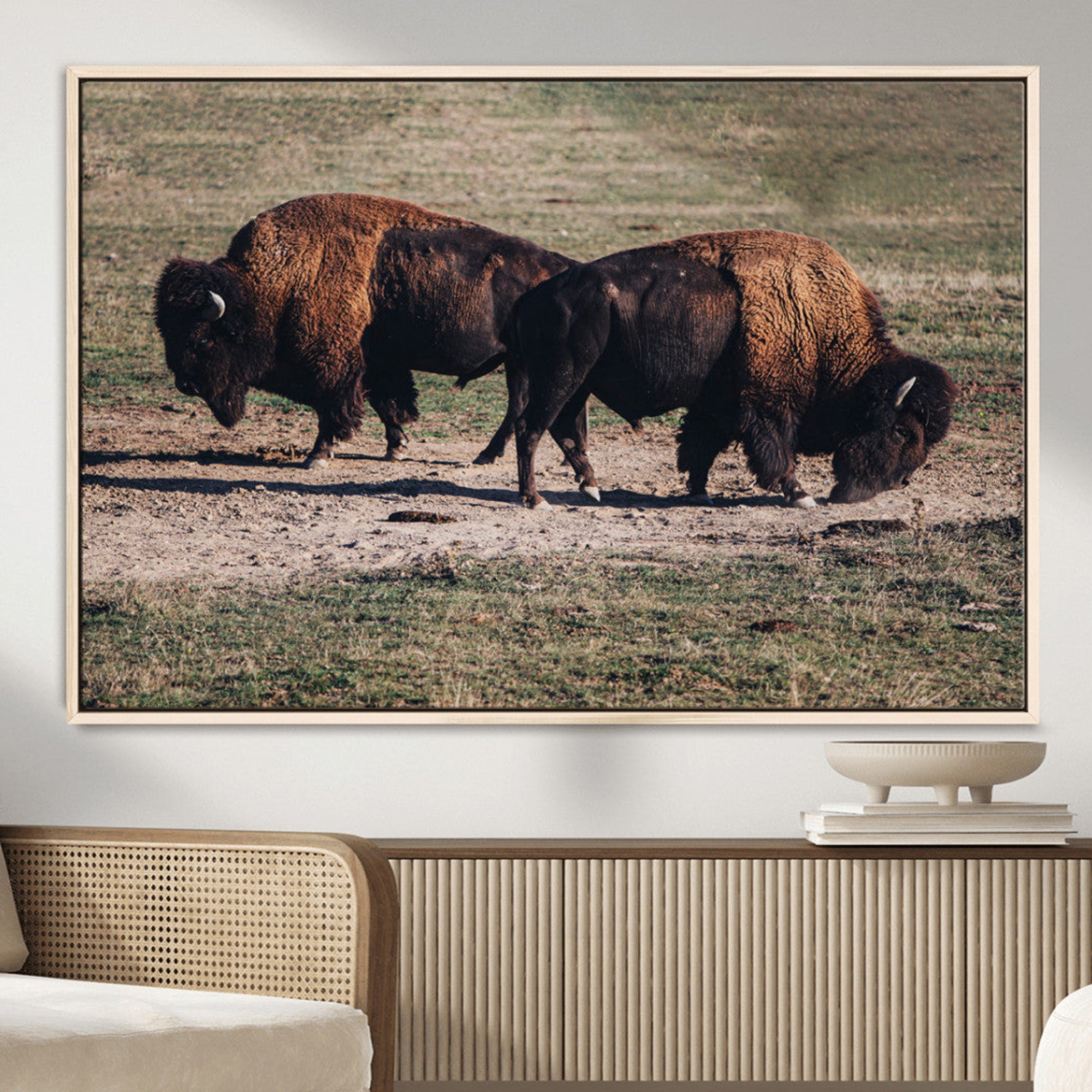 58141885-MGV-CV-36X24-Bison Wall Art Canvas Print – Framed Western Wildlife Modern Ranch Rustic Nature Scene Artwork for Home Office
