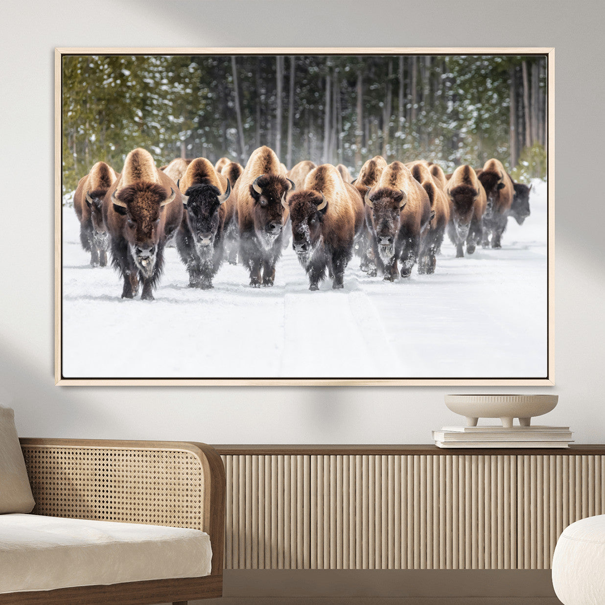 96906195-MGV-FC-36X24 - American Bison Herd Snow Canvas Wall Art – Powerful Winter Wildlife Print of Buffalo Motion, Rustic Lodge or Western Cabin Decor for Living Room, Office