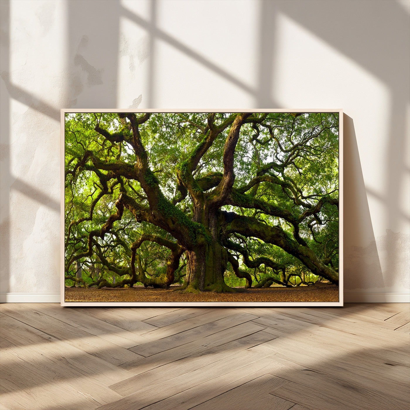 29407-MGV-CV-36X24-Angel Oak Tree Wall Art Canvas Print | Forest Tree Nature Photography Print on Canvas | Large