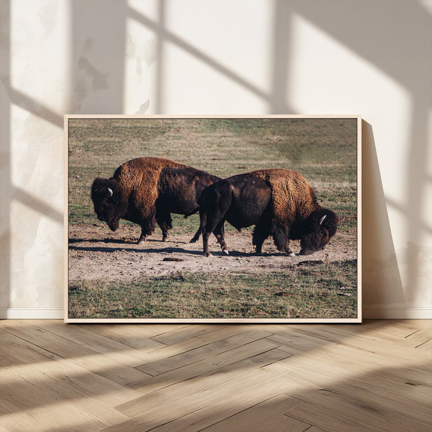 58141885-MGV-CV-36X24-Bison Wall Art Canvas Print – Framed Western Wildlife Modern Ranch Rustic Nature Scene Artwork for Home Office