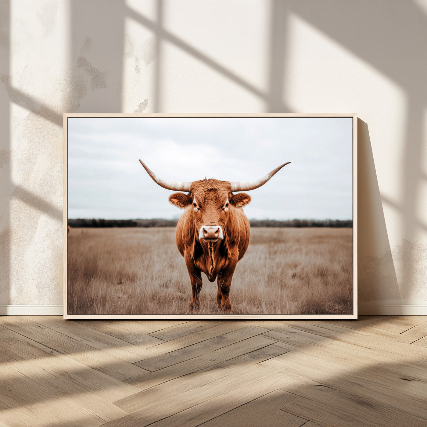 16316734-MGV-FC-36X24 - Longhorn bull, open field, rustic charm, natural beauty, Wall Art Canvas Print, countryside,