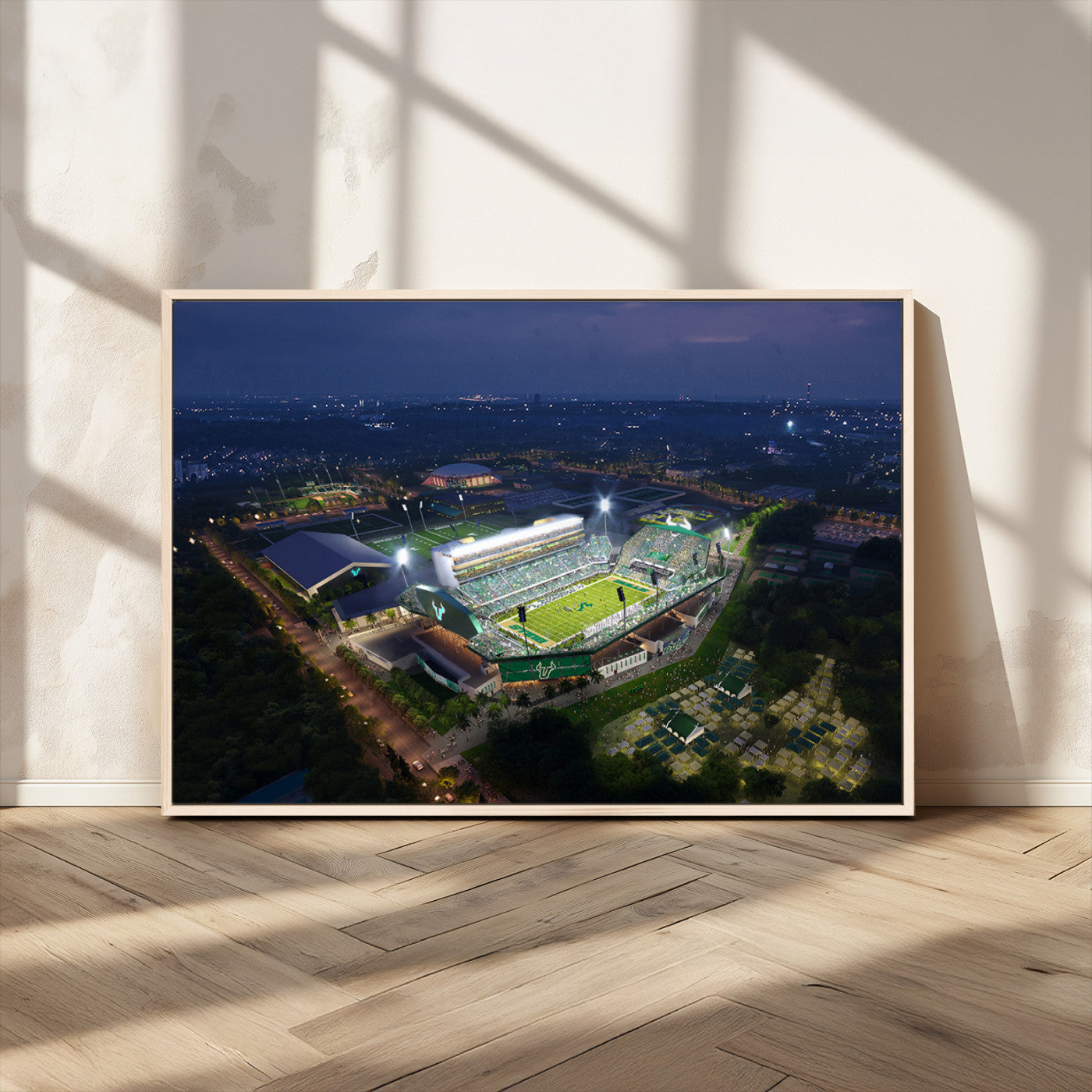 -The University of South Florida Bulls Football Team Print - Tampa USF Football Stadium Wall Art