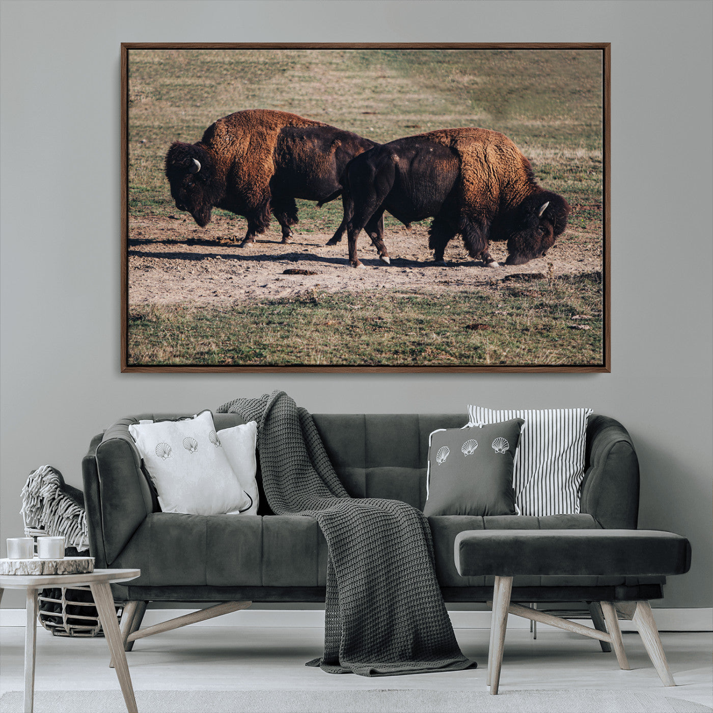 58141885-MGV-CV-36X24-Bison Wall Art Canvas Print – Framed Western Wildlife Modern Ranch Rustic Nature Scene Artwork for Home Office