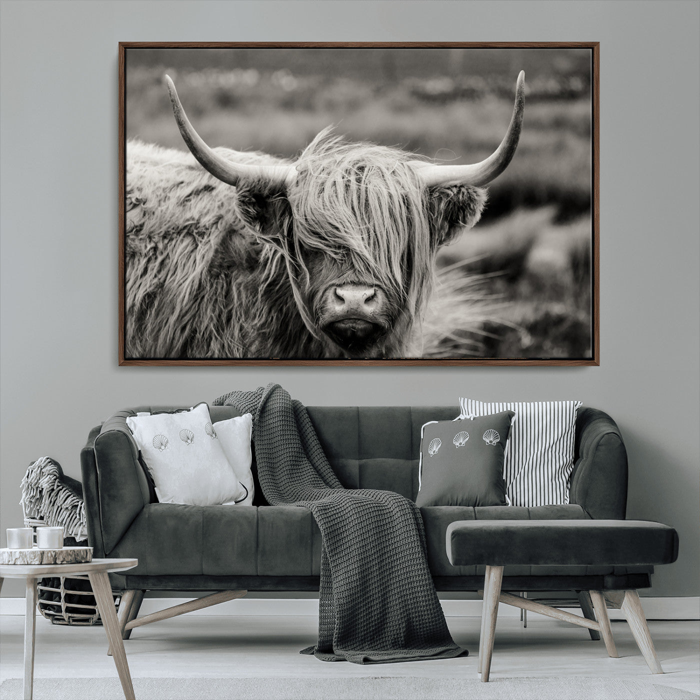 -Cow Focus Canvas Wall Art Print