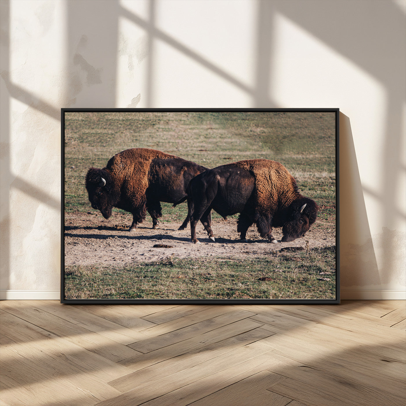 58141885-MGV-CV-36X24-Bison Wall Art Canvas Print – Framed Western Wildlife Modern Ranch Rustic Nature Scene Artwork for Home Office