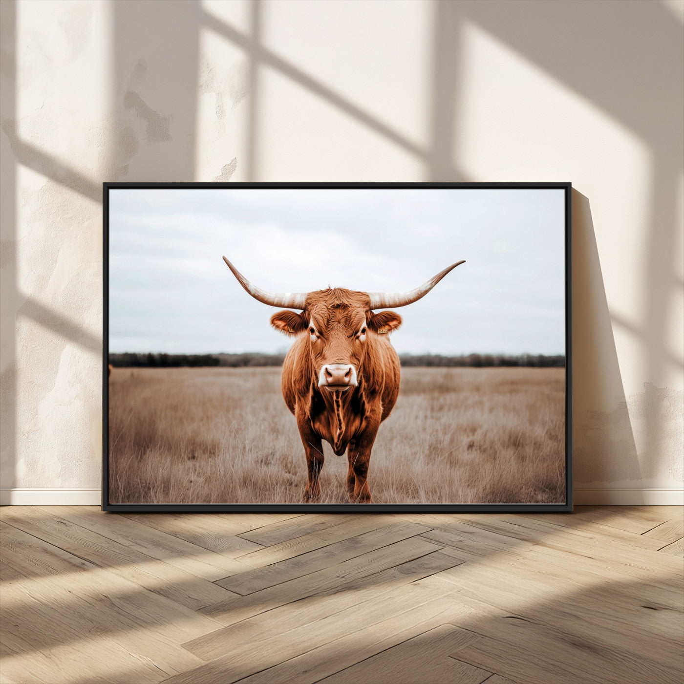 16316734-MGV-FC-36X24 - Longhorn bull, open field, rustic charm, natural beauty, Wall Art Canvas Print, countryside,