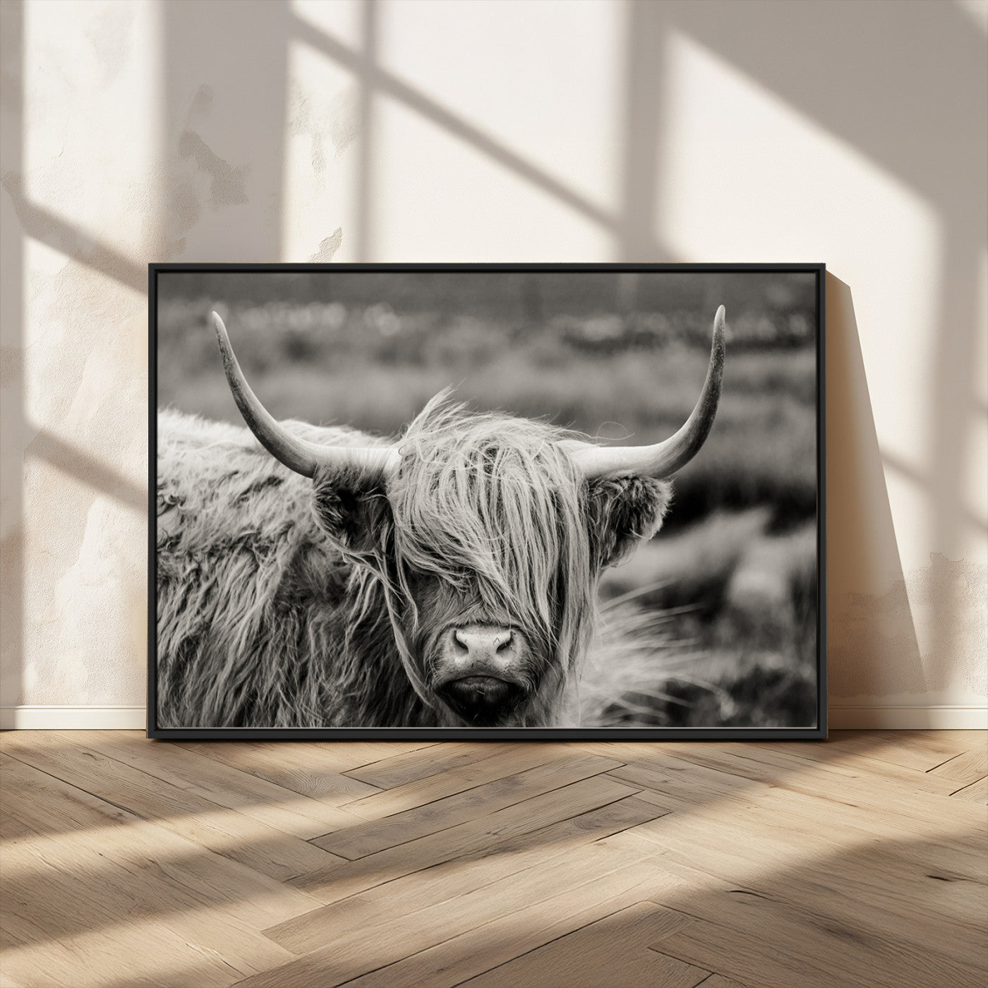 -Cow Focus Canvas Wall Art Print