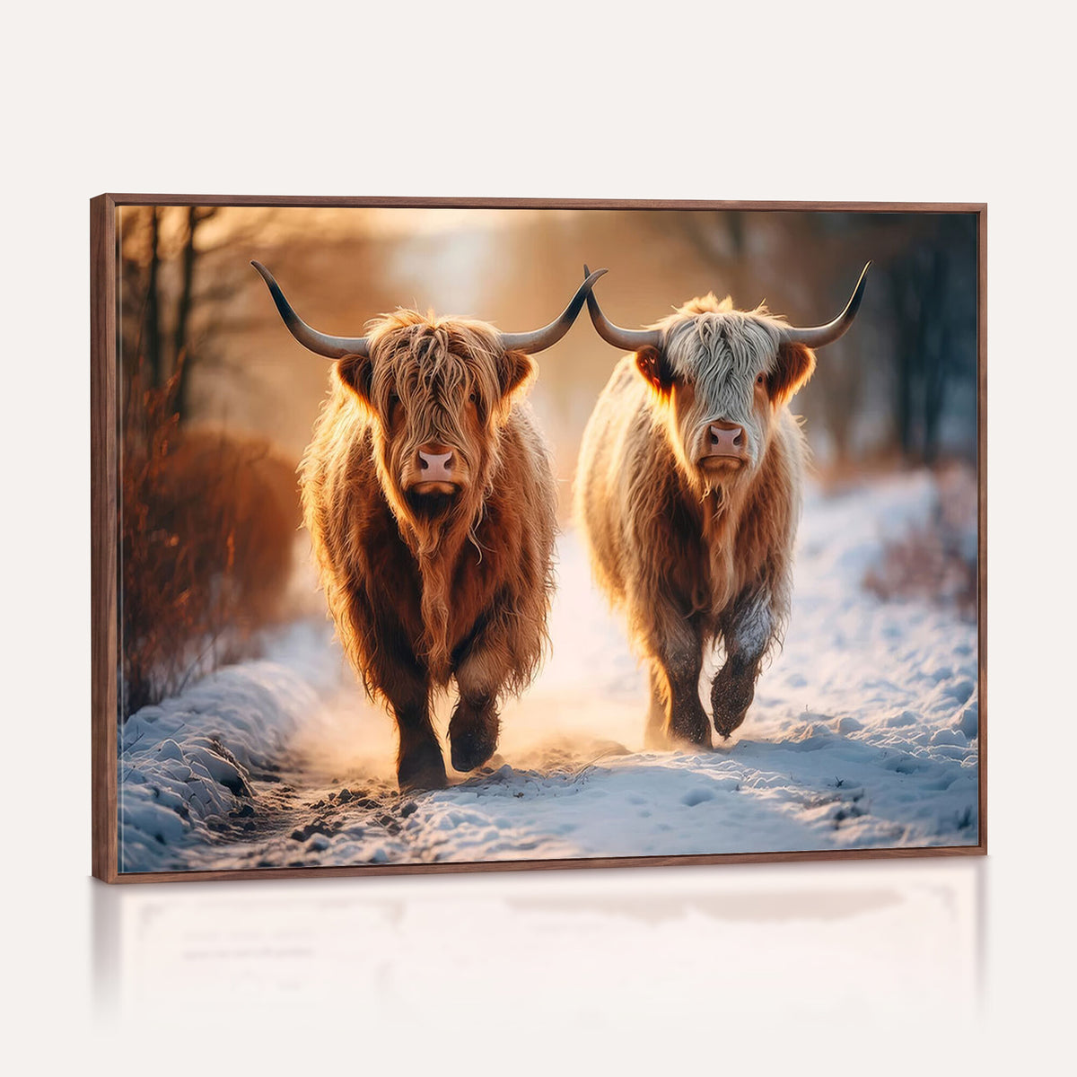 94810-_Poster-30x20 - Scottish Highland Cow Horn Farm Wall Art Canvas Print