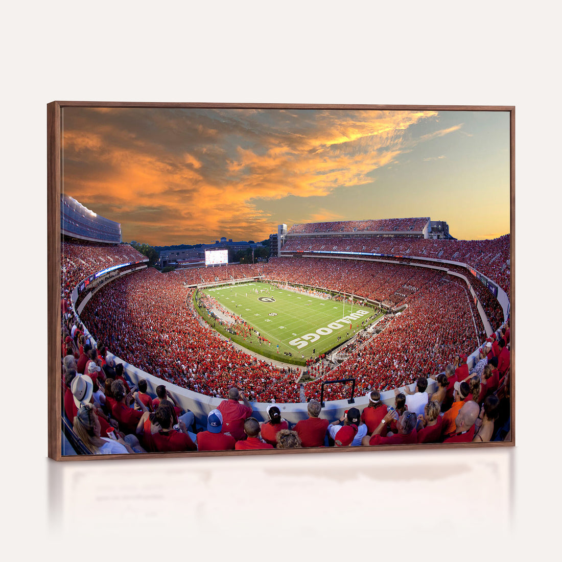 Dooley Stadium Wall Art, Sports Arena Canvas Print, Dooley Field, Framed and Ready to Hang