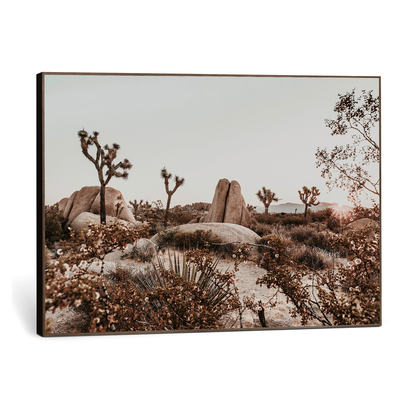 75778944-MGV-CV-36X24 - Joshua Tree Desert Canvas Wall Art Print - Desert Landscape Photography, Boho Southwest Wall Decor, Nature Canvas - Ready to Hang