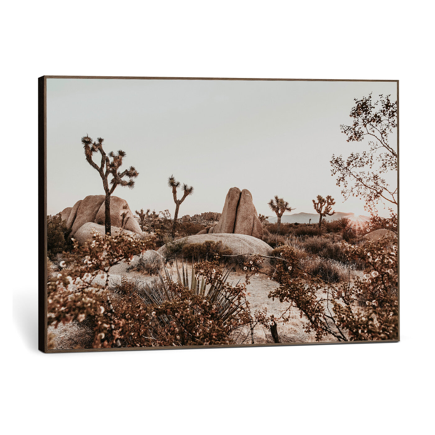 75778944-MGV-CV-36X24 - Joshua Tree Desert Canvas Wall Art Print - Desert Landscape Photography, Boho Southwest Wall Decor, Nature Canvas - Ready to Hang